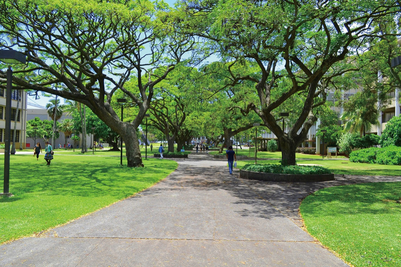 緑に囲まれたマノアエリアに広がるハワイ大学マノアキャンパス