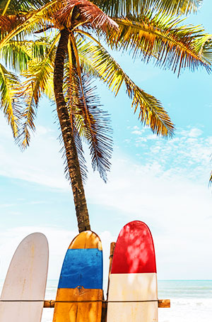 画像:ハワイビーチ イメージ