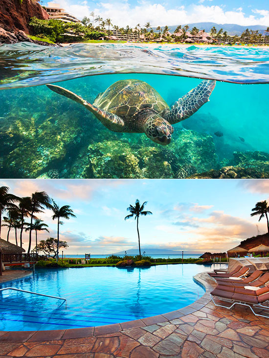 写真:シュノーケリング、屋外プールイメージ