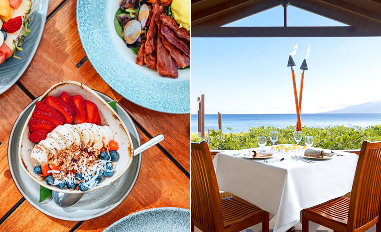 写真:料理、レストラン